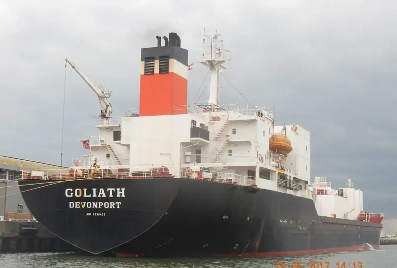 GOLIATH General Cargo IMO 9036430 photo 4