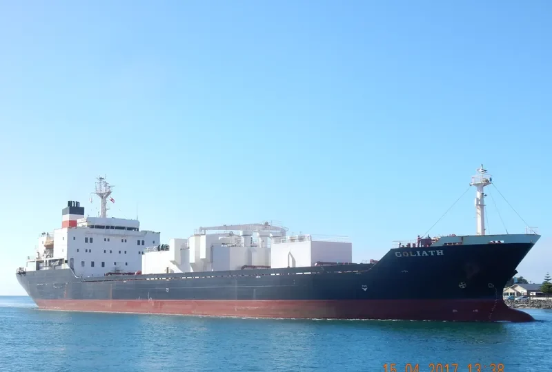 GOLIATH General Cargo IMO 9036430 photo 7