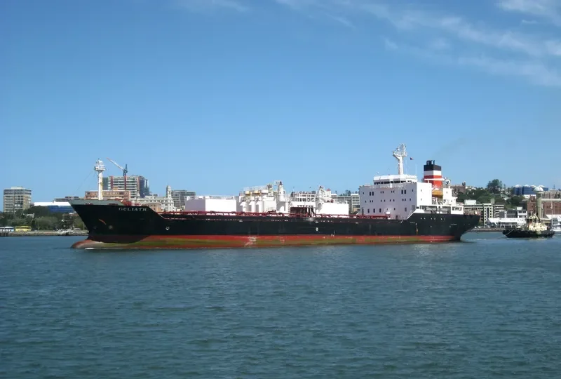 GOLIATH General Cargo IMO 9036430 photo 10