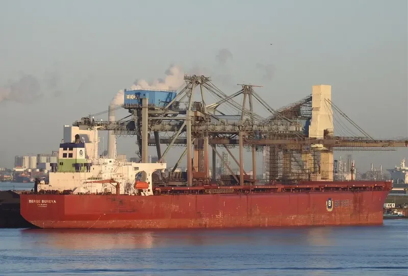 BERGE BUREYA Bulk Carrier IMO 9036454 photo 2