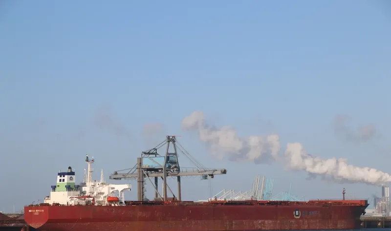 BERGE BUREYA Bulk Carrier IMO 9036454 photo 3