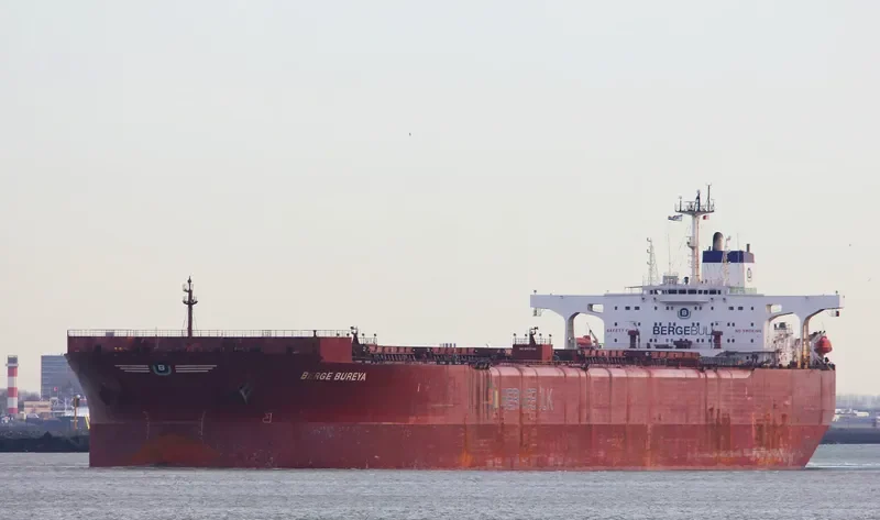 BERGE BUREYA Bulk Carrier IMO 9036454 photo 8