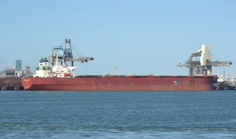 BERGE BUREYA Bulk Carrier IMO 9036454 photo 10