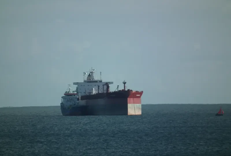 SARASWATI Tanker IMO 9036507 photo 5