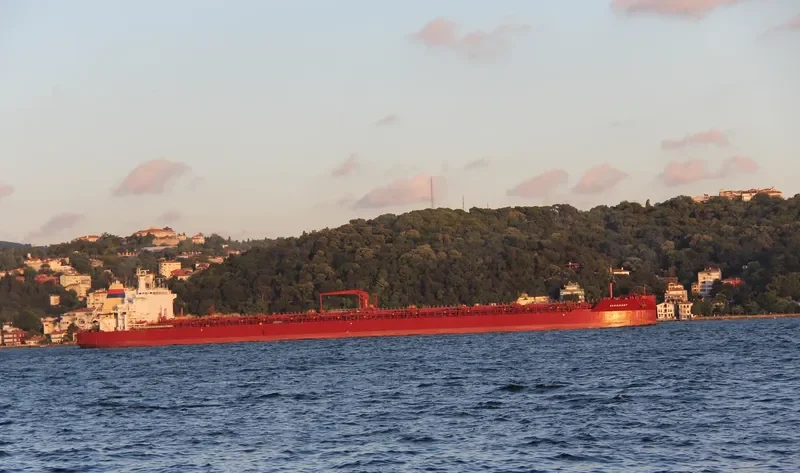 SARASWATI Tanker IMO 9036507 photo 6