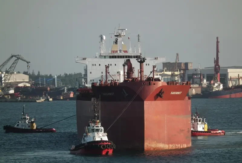 SARASWATI Tanker IMO 9036507 photo 7