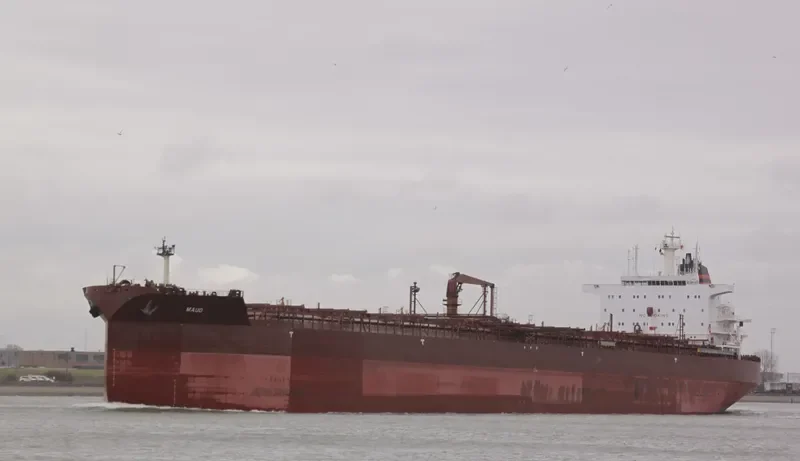 MAUD Bulk Carrier IMO 9036519 photo 8