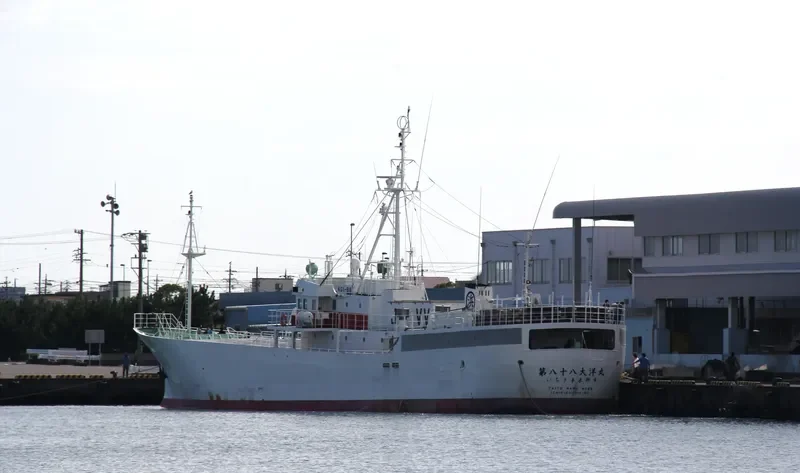 TAIYO MARU NO.88 General Cargo IMO 9036703