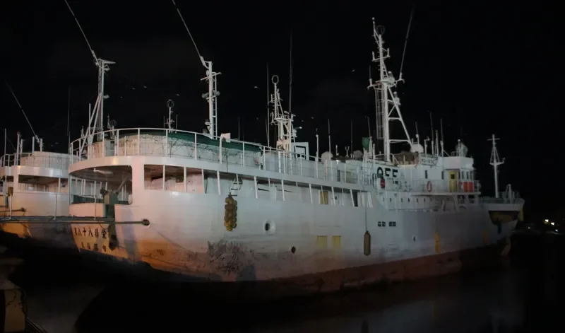 SHOEI MARU NO.88 General Cargo IMO 9036715