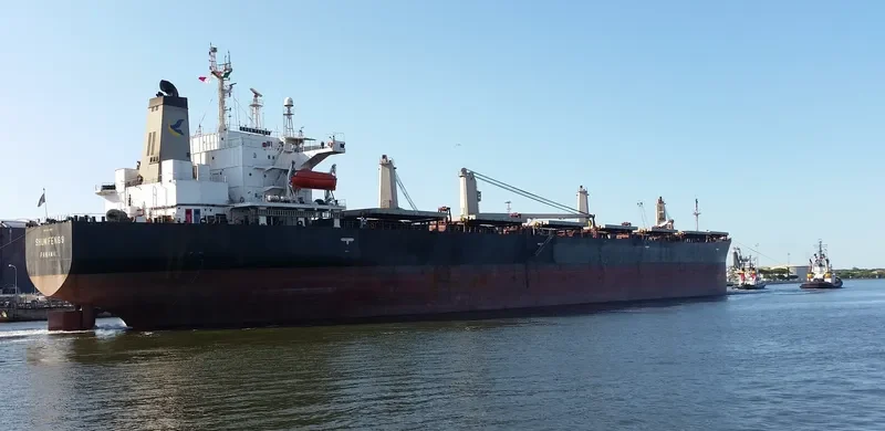 SHUN FENG 9 Bulk Carrier IMO 9036806