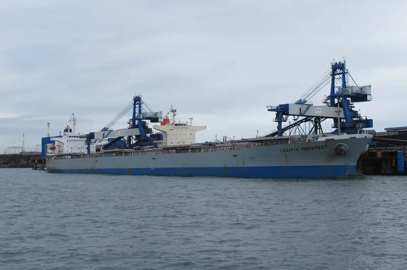 PACIFIC PROSPECT Bulk Carrier IMO 9036818 photo 2