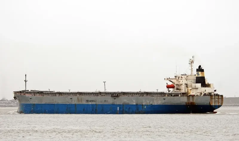 PACIFIC PROSPECT Bulk Carrier IMO 9036818 photo 5