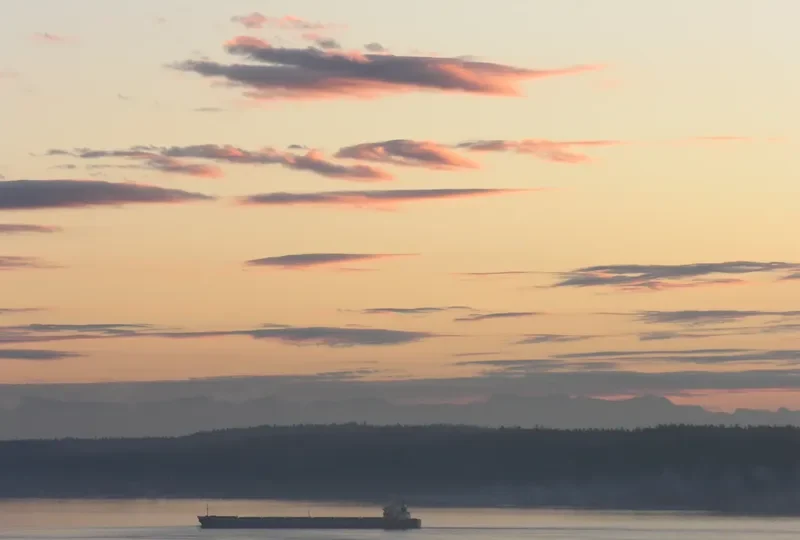PACIFIC PARADISE Bulk Carrier IMO 9036820