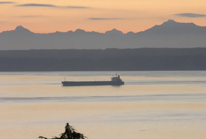 PACIFIC PARADISE Bulk Carrier IMO 9036820 photo 2