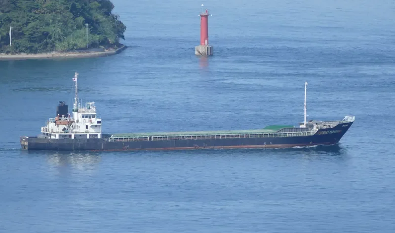 ORIENT SUNSHINE General Cargo IMO 9036882 photo 7