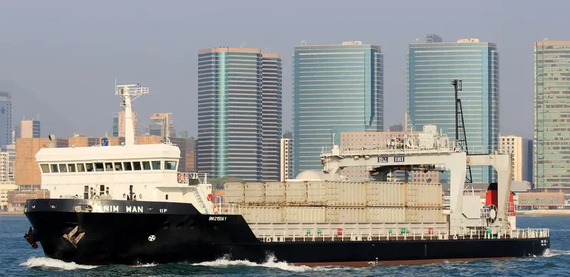 NIM WAN Container Ship IMO 9037501 photo 2