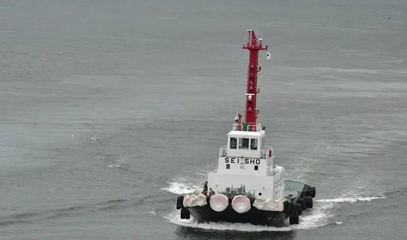 SEISHO MARU General Cargo IMO 9037680