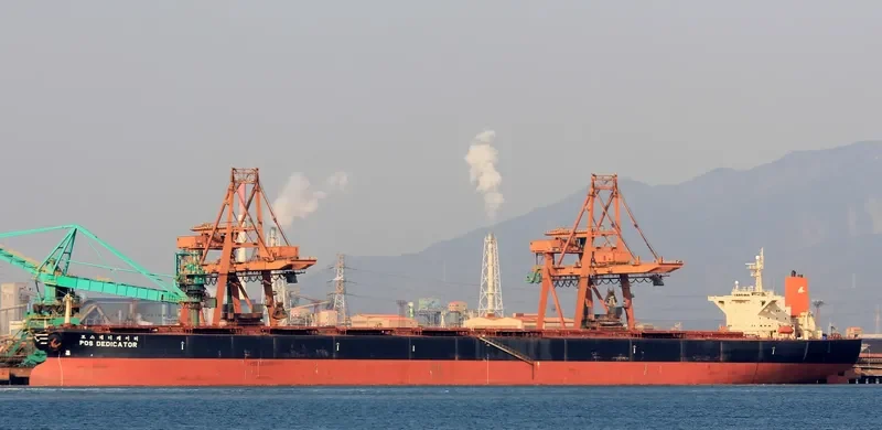 POS DEDICATOR Bulk Carrier IMO 9037719