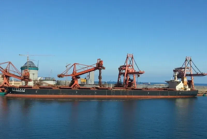 POS DEDICATOR Bulk Carrier IMO 9037719 photo 3