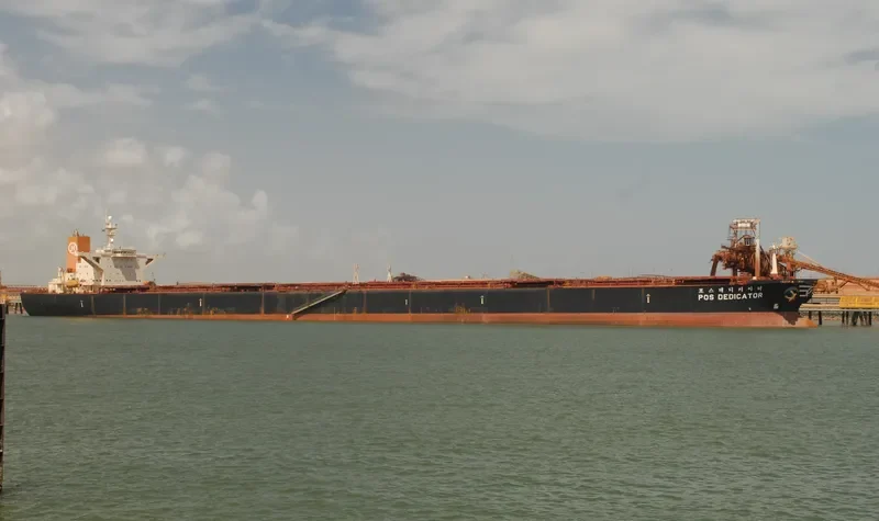 POS DEDICATOR Bulk Carrier IMO 9037719 photo 4