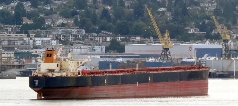 GOODWILL Bulk Carrier IMO 9037745 photo 2