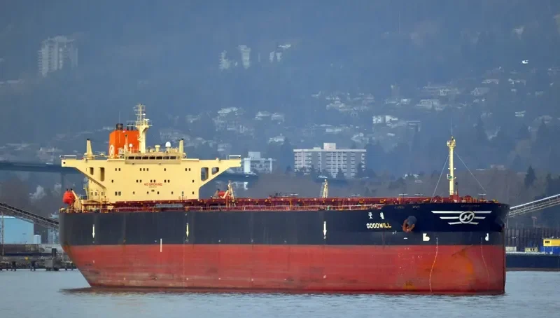 GOODWILL Bulk Carrier IMO 9037745 photo 3