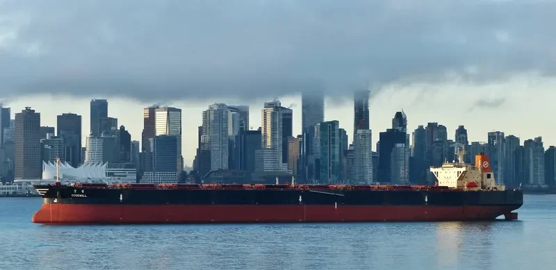 GOODWILL Bulk Carrier IMO 9037745 photo 5