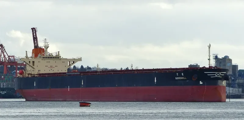 GOODWILL Bulk Carrier IMO 9037745 photo 6