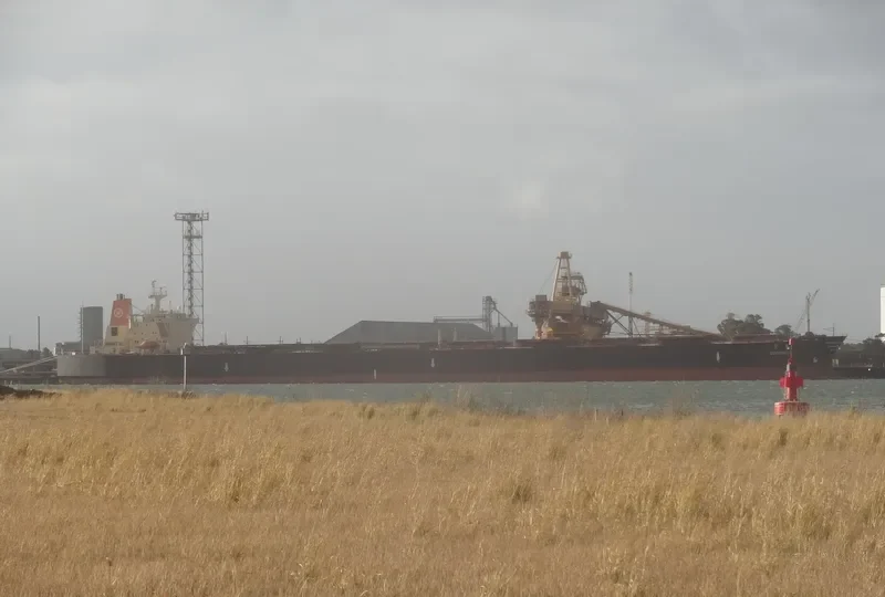GOODWILL Bulk Carrier IMO 9037745 photo 9