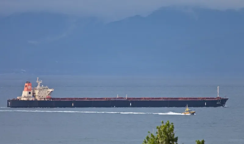 GOODWILL Bulk Carrier IMO 9037745 photo 10