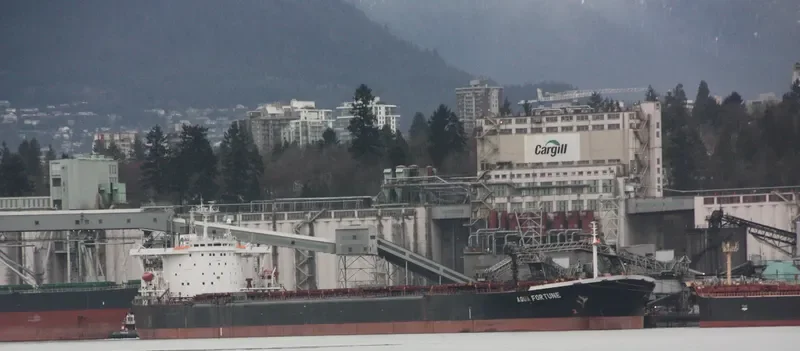 AQUA FORTUNE Bulk Carrier IMO 9037800