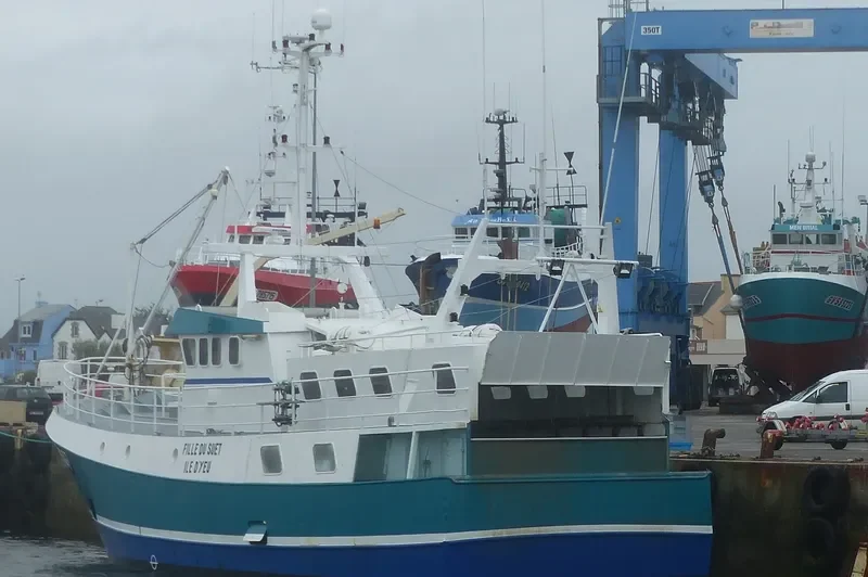 FILLE DU SUET General Cargo IMO 9037812
