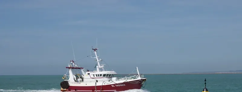 LA SOUVERAINE General Cargo IMO 9037824