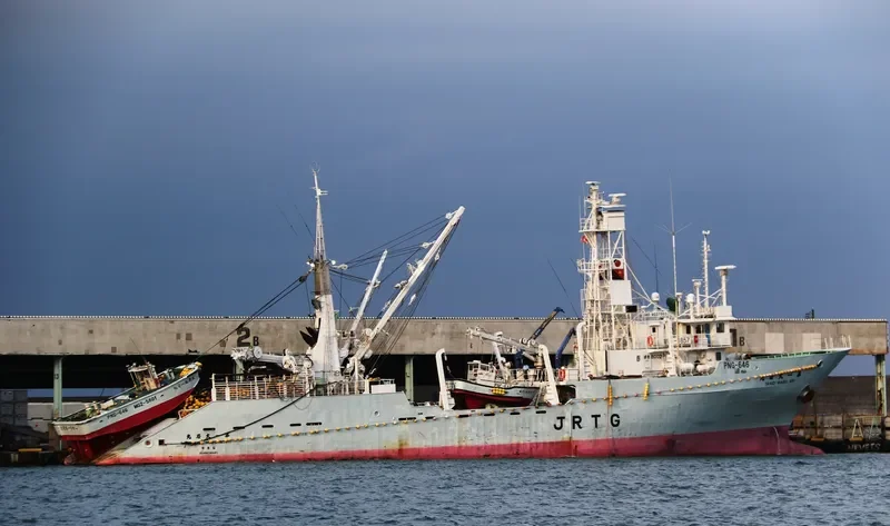 TAIKEI MARU NO.1 General Cargo IMO 9037953 photo 3