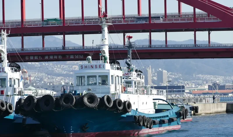 SHINSEI MARU General Cargo IMO 9038012 photo 8