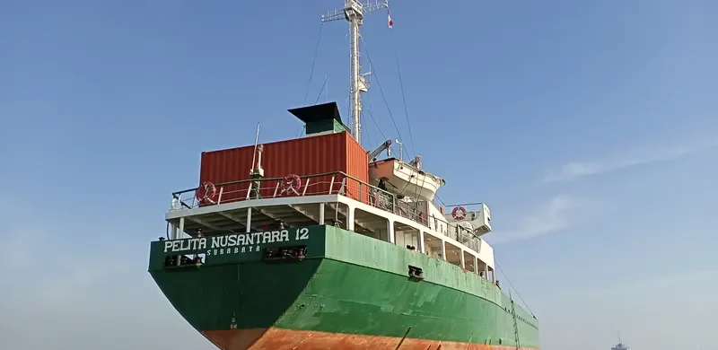 PELITA NUSANTARA 12 General Cargo IMO 9038098