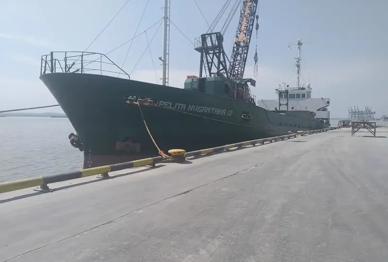 PELITA NUSANTARA 12 General Cargo IMO 9038098 photo 4