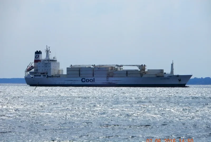 AUTUMN STREAM General Cargo IMO 9038323 photo 7