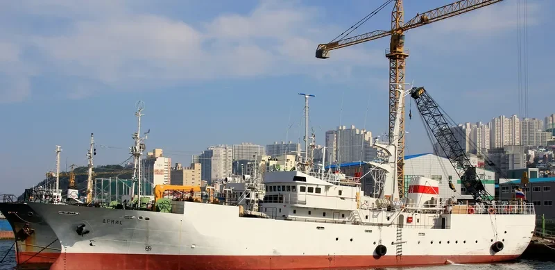 DEMIS General Cargo IMO 9038464 photo 2