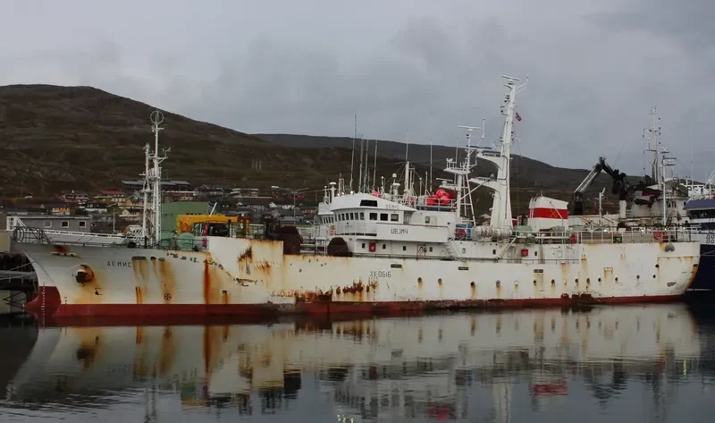DEMIS General Cargo IMO 9038464 photo 4