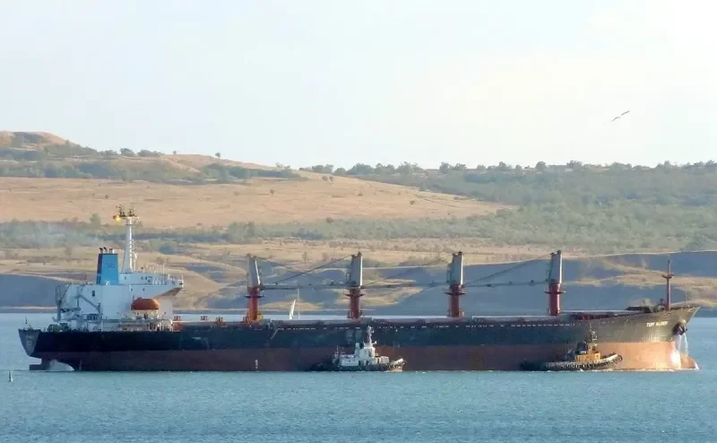 JENNY LUCKY Bulk Carrier IMO 9038701 photo 3