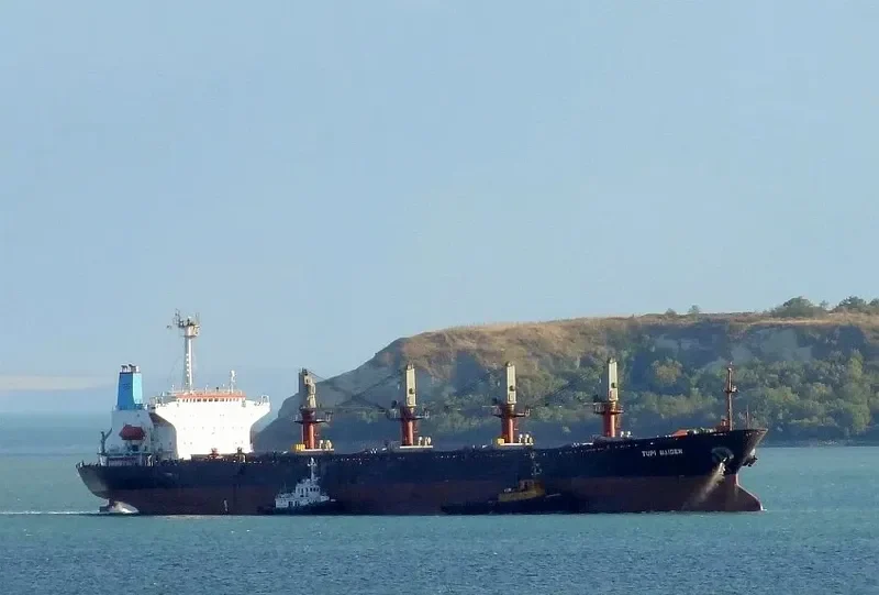 JENNY LUCKY Bulk Carrier IMO 9038701 photo 4