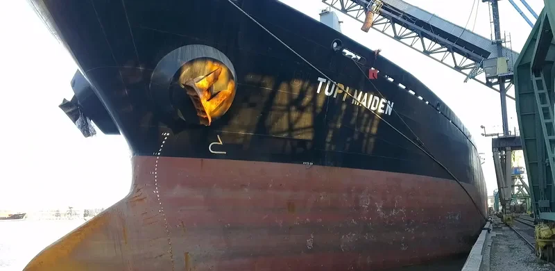 JENNY LUCKY Bulk Carrier IMO 9038701 photo 5