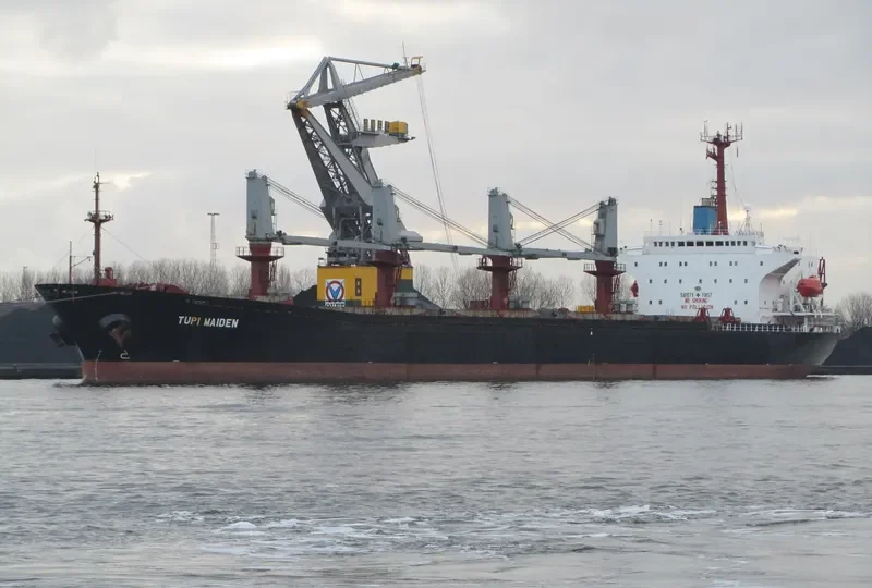 JENNY LUCKY Bulk Carrier IMO 9038701 photo 9