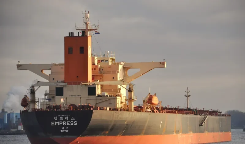 EMPRESS Bulk Carrier IMO 9039145 photo 6