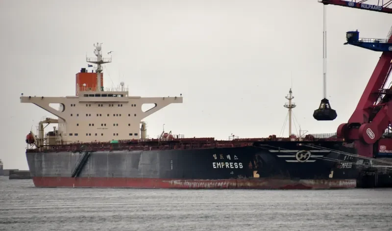 EMPRESS Bulk Carrier IMO 9039145 photo 10