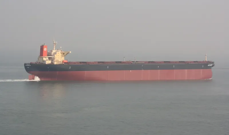 ALEXANDER CARL Bulk Carrier IMO 9039169 photo 3