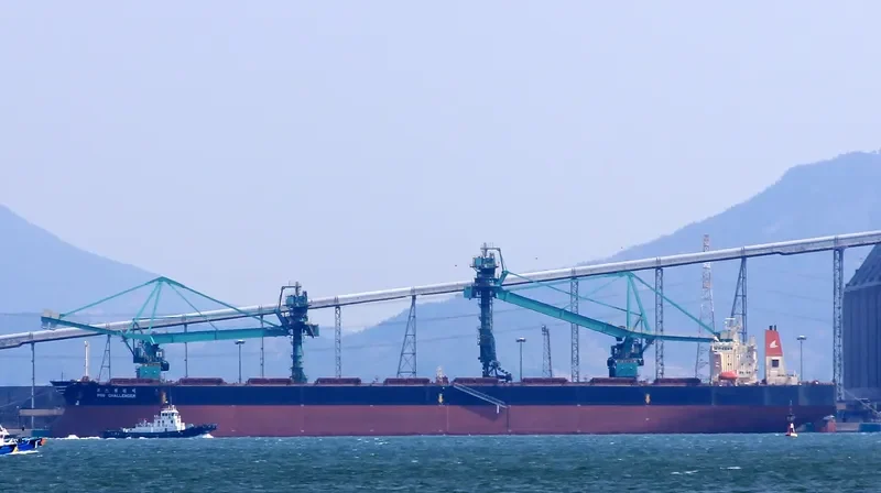POS CHALLENGER Bulk Carrier IMO 9039171 photo 2