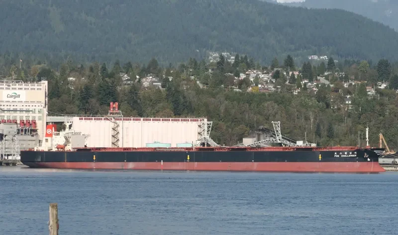 POS CHALLENGER Bulk Carrier IMO 9039171 photo 7