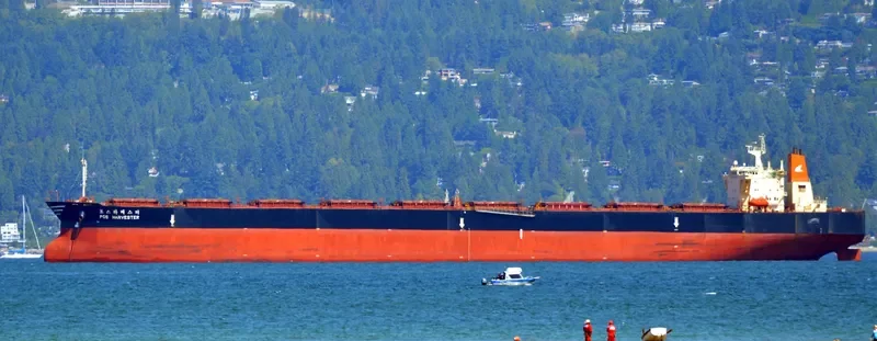 POS HARVESTER Bulk Carrier IMO 9039183 photo 4
